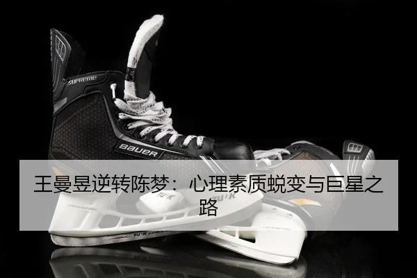 wang-man-yu-ni-zhuan-chen-meng-xin-li-su-zhi-tui-bian-yu-ju-xing-zhi-lu-2-552.jpg